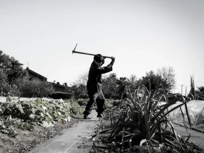 Producer image