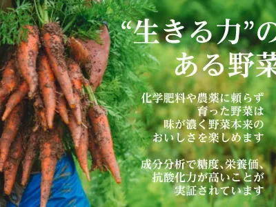 Producer image